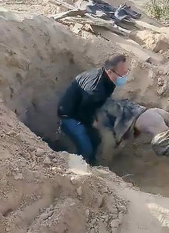جريمة الابن المروعة.. فيديو إنقاذ مسنة بعد 3 أيام من دفنها حية! صورة رقم 2 جريمة الابن المروعة.. فيديو إنقاذ مسنة بعد 3 أيام من دفنها حية! صورة رقم 2