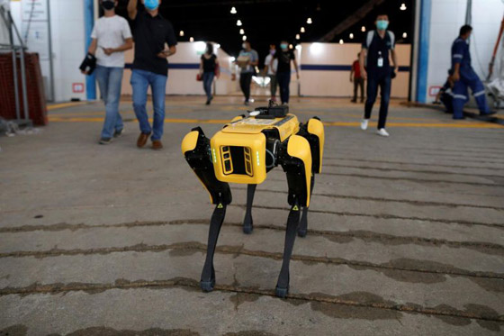 كلب آلي يتجول في متنزهات سنغافورة لحث الناس على التباعد الاجتماعي صورة رقم 10