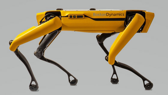 كلب آلي يتجول في متنزهات سنغافورة لحث الناس على التباعد الاجتماعي صورة رقم 11