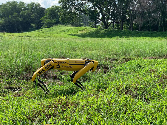 كلب آلي يتجول في متنزهات سنغافورة لحث الناس على التباعد الاجتماعي صورة رقم 12