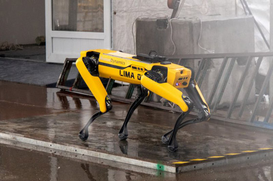 كلب آلي يتجول في متنزهات سنغافورة لحث الناس على التباعد الاجتماعي صورة رقم 13