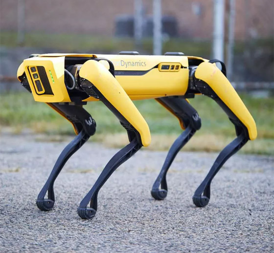 كلب آلي يتجول في متنزهات سنغافورة لحث الناس على التباعد الاجتماعي صورة رقم 16