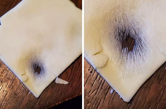 بهاق الحيوانات.. وأغرب الصور من الطبيعة صورة رقم 12