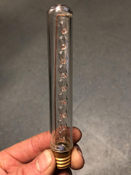 بهاق الحيوانات.. وأغرب الصور من الطبيعة صورة رقم 4