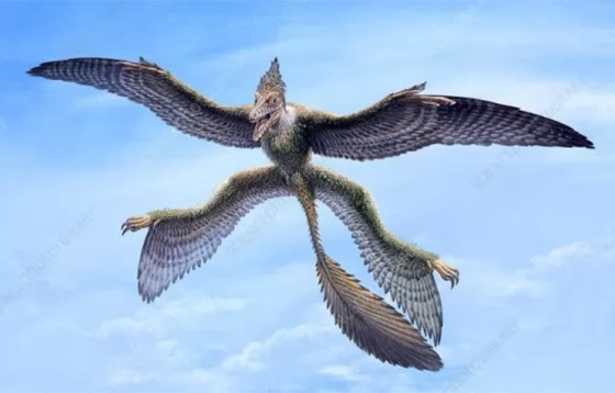 بالصور: تعرفوا إلى 12 من أصغر حيوانات ما قبل التاريخ المذهلة صورة رقم 1