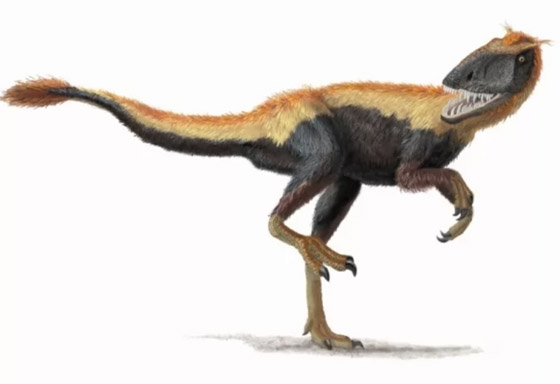 بالصور: تعرفوا إلى 12 من أصغر حيوانات ما قبل التاريخ المذهلة صورة رقم 2