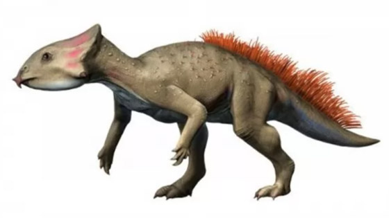 بالصور: تعرفوا إلى 12 من أصغر حيوانات ما قبل التاريخ المذهلة صورة رقم 4