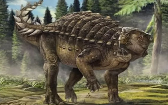 بالصور: تعرفوا إلى 12 من أصغر حيوانات ما قبل التاريخ المذهلة صورة رقم 5