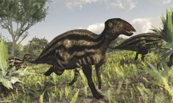 بالصور: تعرفوا إلى 12 من أصغر حيوانات ما قبل التاريخ المذهلة صورة رقم 6