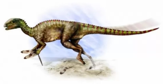 بالصور: تعرفوا إلى 12 من أصغر حيوانات ما قبل التاريخ المذهلة صورة رقم 7