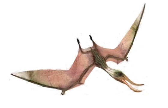 بالصور: تعرفوا إلى 12 من أصغر حيوانات ما قبل التاريخ المذهلة صورة رقم 8