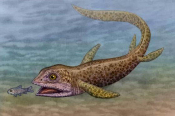 بالصور: تعرفوا إلى 12 من أصغر حيوانات ما قبل التاريخ المذهلة صورة رقم 9