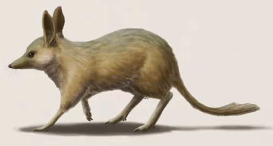 بالصور: تعرفوا إلى 12 من أصغر حيوانات ما قبل التاريخ المذهلة صورة رقم 11