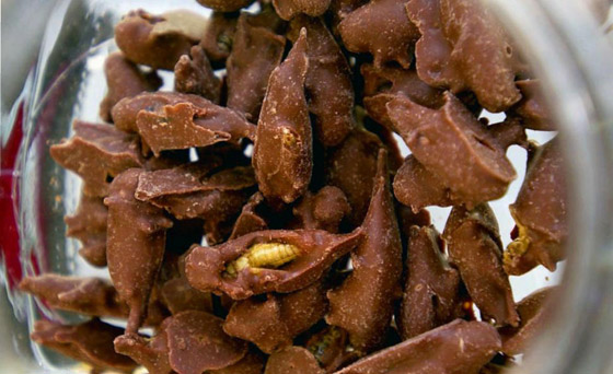 أغرب 10 حلويات من حول العالم صورة رقم 10