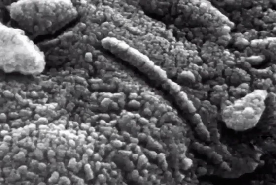 اكتشاف مخلوق غريب داخل صخرة قادمة من الفضاء! صور صورة رقم 2