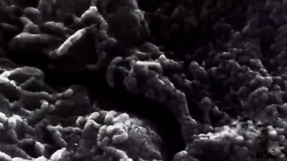 اكتشاف مخلوق غريب داخل صخرة قادمة من الفضاء! صور صورة رقم 6