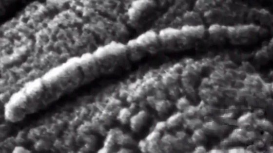 اكتشاف مخلوق غريب داخل صخرة قادمة من الفضاء! صور صورة رقم 7