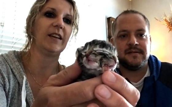 فيديو وصور: ولادة نادرة لقطة بوجهين في أمريكا! صورة رقم 3