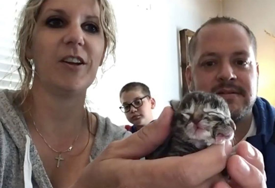 فيديو وصور: ولادة نادرة لقطة بوجهين في أمريكا! صورة رقم 8