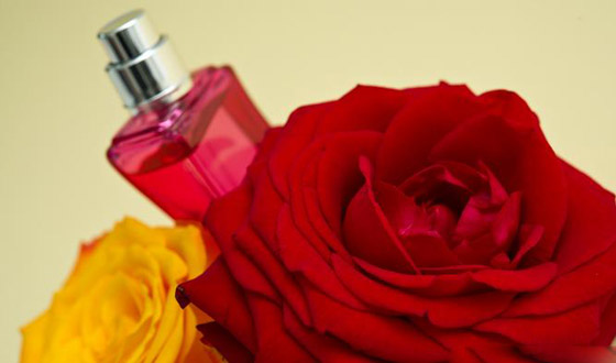لبقاء رائحة العطر.. إليكم خطوات بسيطة ونصائح لعطر أخاذ يدوم طويلا! صورة رقم 2 لبقاء رائحة العطر.. إليكم خطوات بسيطة ونصائح لعطر أخاذ يدوم طويلا! صورة رقم 2