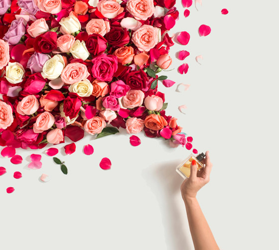 لبقاء رائحة العطر.. إليكم خطوات بسيطة ونصائح لعطر أخاذ يدوم طويلا! صورة رقم 4 لبقاء رائحة العطر.. إليكم خطوات بسيطة ونصائح لعطر أخاذ يدوم طويلا! صورة رقم 4