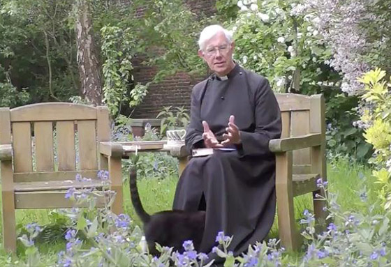 فيديو طريف.. قط أسود يختفي داخل ثوب قس أثناء بث مباشر! صورة رقم 2