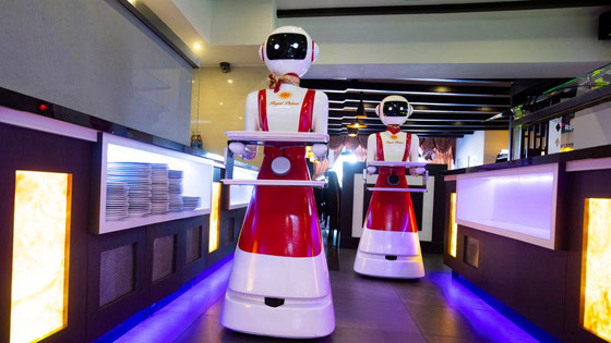 بالصور.. نادل آلي يستقبلك بـ