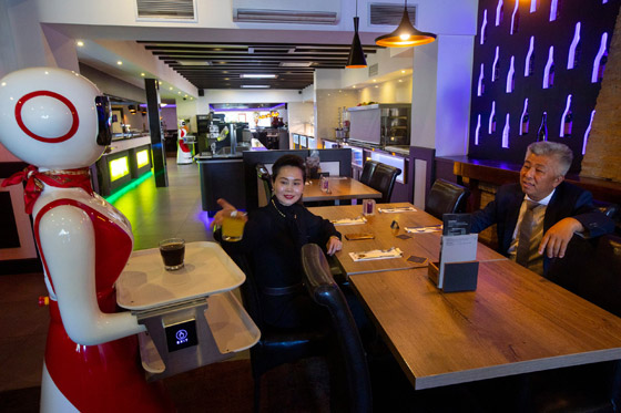 بالصور.. نادل آلي يستقبلك بـ