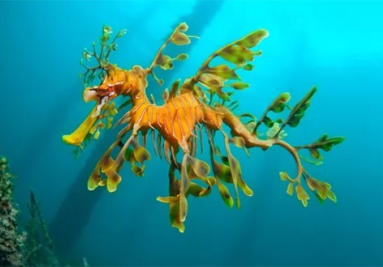  ���� ��� 4 - ������: ������ ��� ���� 10 ������� �� ������ ���� �� ������!