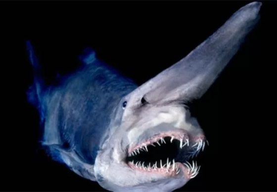  ���� ��� 5 - ������: ������ ��� ���� 10 ������� �� ������ ���� �� ������!