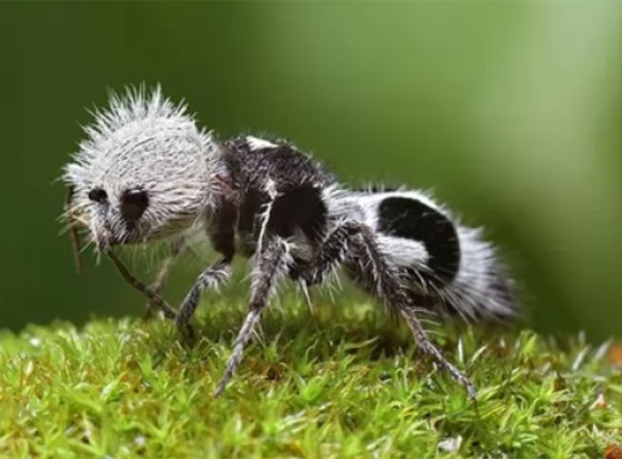  ���� ��� 6 - ������: ������ ��� ���� 10 ������� �� ������ ���� �� ������!