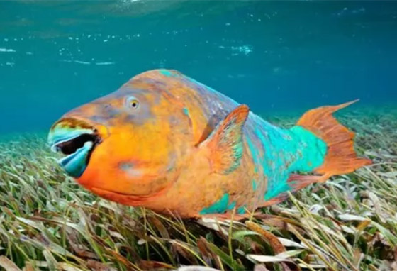  ���� ��� 7 - ������: ������ ��� ���� 10 ������� �� ������ ���� �� ������!