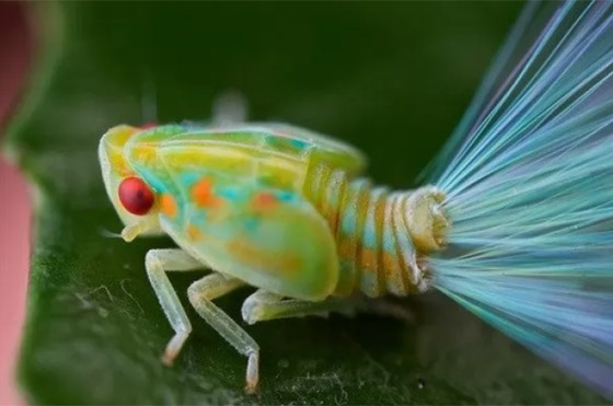  ���� ��� 8 - ������: ������ ��� ���� 10 ������� �� ������ ���� �� ������!