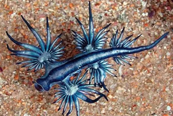  ���� ��� 9 - ������: ������ ��� ���� 10 ������� �� ������ ���� �� ������!