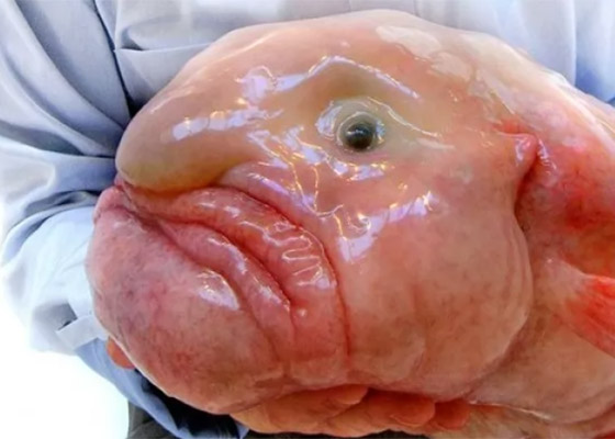  ���� ��� 10 - ������: ������ ��� ���� 10 ������� �� ������ ���� �� ������!