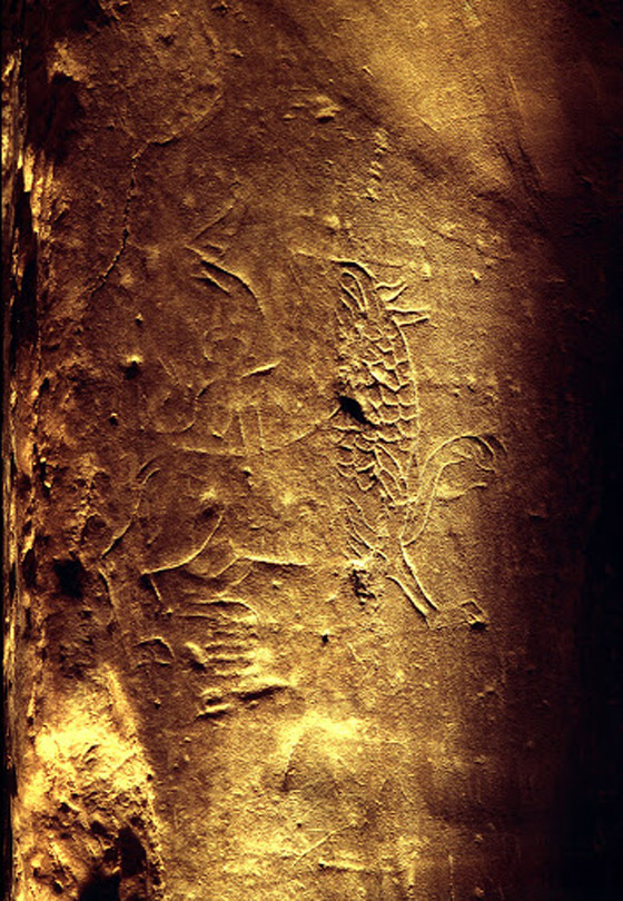 حرب الدلو، القبعة والبطاطس.. 8 أحداث تاريخية مضحكة يصعب تصديقها صورة رقم 2 حرب الدلو، القبعة والبطاطس.. 8 أحداث تاريخية مضحكة يصعب تصديقها صورة رقم 2