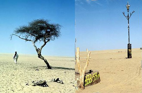 حرب الدلو، القبعة والبطاطس.. 8 أحداث تاريخية مضحكة يصعب تصديقها صورة رقم 16 حرب الدلو، القبعة والبطاطس.. 8 أحداث تاريخية مضحكة يصعب تصديقها صورة رقم 16