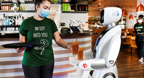 صور لمطعم هولندي يتخطى أزمة كورونا.. بـ