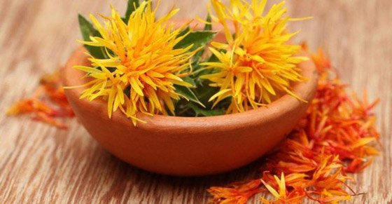 علماء: نبات 