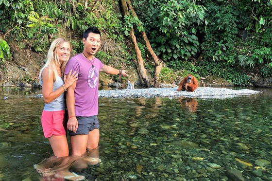 زوجان بريطانيان يعلقان في منتجع أندونيسي فاخر صورة رقم 3