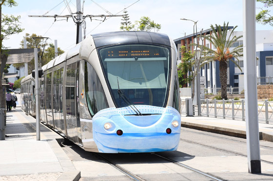 بالصور.. الترام في المغرب يرتدي الكمامة صورة رقم 1