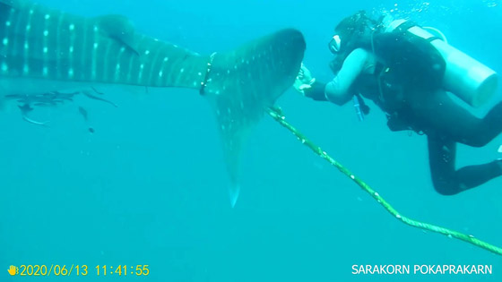 لقطات مثيرة لمحاولة غواصين تحرير 