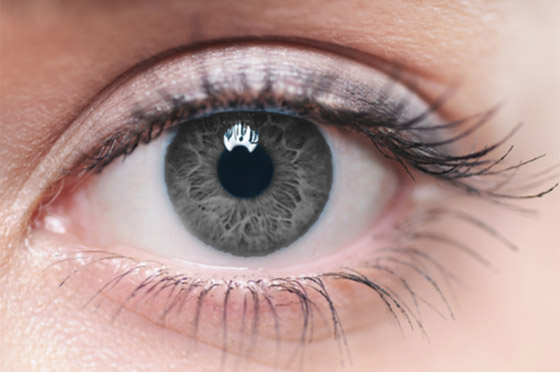 ماذا تعني ألوان العيون؟.. تعرف على شخصيتك من لون عيونك! صورة رقم 4 ماذا تعني ألوان العيون؟.. تعرف على شخصيتك من لون عيونك! صورة رقم 4