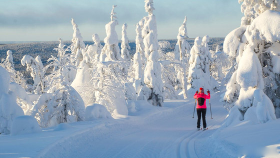 تعرفوا على الدولة الأوروبية الأكثر أمانة وصدقا في العالم..! صورة رقم 3