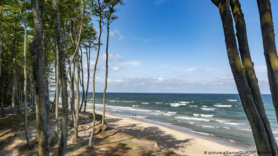 عطلة الصيف على أجمل سواحل أوروبا صورة رقم 11