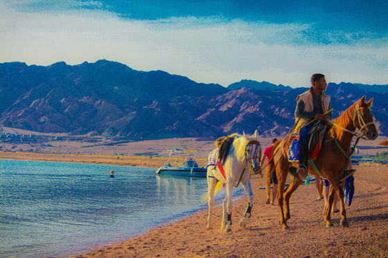 صور: تعرفوا إلى أجمل المدن العربية.. عندما تتجلى روعة العالم العربي صورة رقم 8