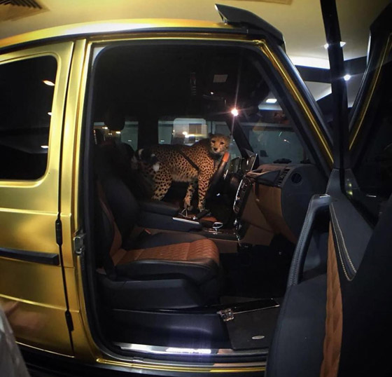 صور أغرب أشياء اشتراها الأمراء العرب: حمام من الذهب وسيارة من الماس صورة رقم 8