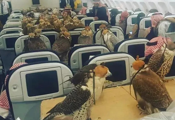 صور أغرب أشياء اشتراها الأمراء العرب: حمام من الذهب وسيارة من الماس صورة رقم 6