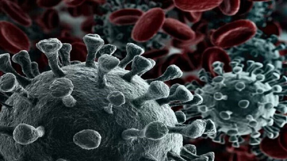 ما المدة التي يعيشها فيروس كورونا في مياه الأنهار؟ صورة رقم 2