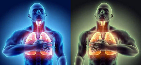 حاصل على نوبل بالطب يكشف طريقة تنفس تحمي من كورونا إلى الأبد صورة رقم 1